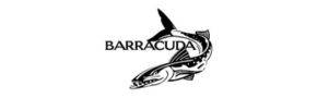 Barracuda